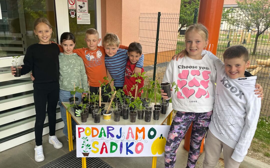 Tržnica sadik